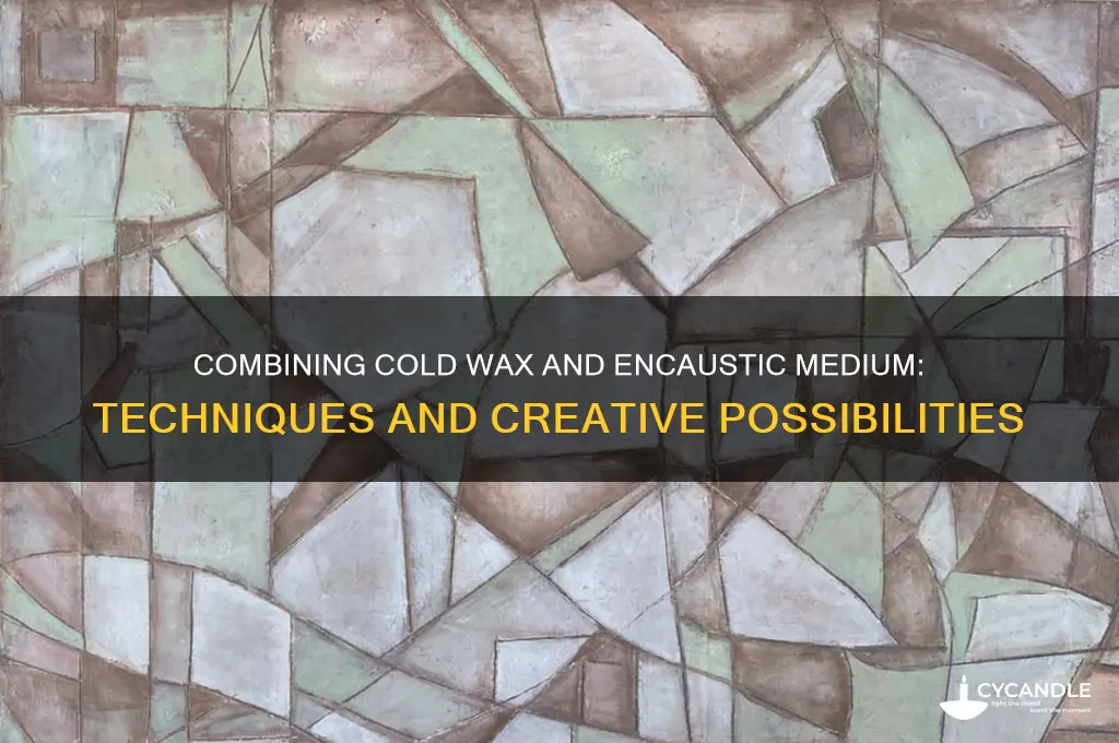can cold wax and encaustic medium work together