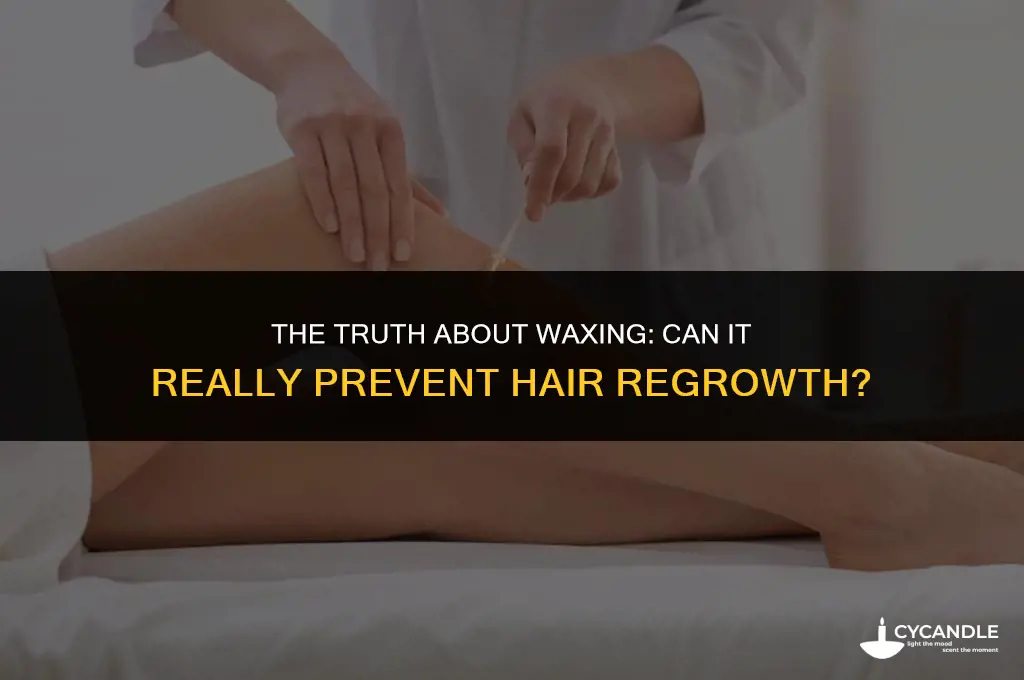 can continued waxing keep hair from growing back