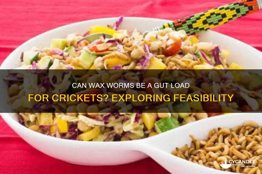 can cricket feed gut load wax worms