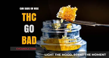 Do Dabs and Wax THC Have a Shelf Life? What You Need to Know