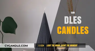 Can-dles Candles: Eco-Friendly, Sustainable, and Creative Candle Alternatives
