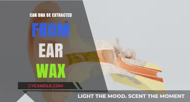 Extracting DNA from Ear Wax: Unlocking Genetic Secrets in Unexpected Places