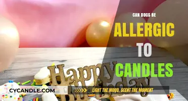 Can Dogs Be Allergic to Candles? Uncovering Pet Safety Concerns