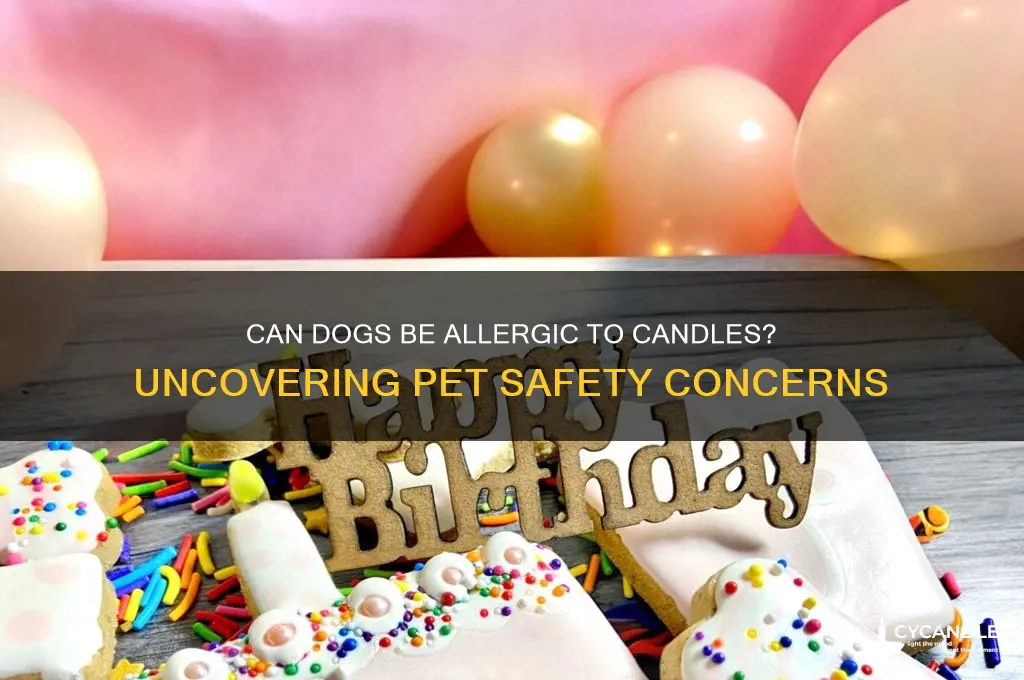 can dogs be allergic to candles