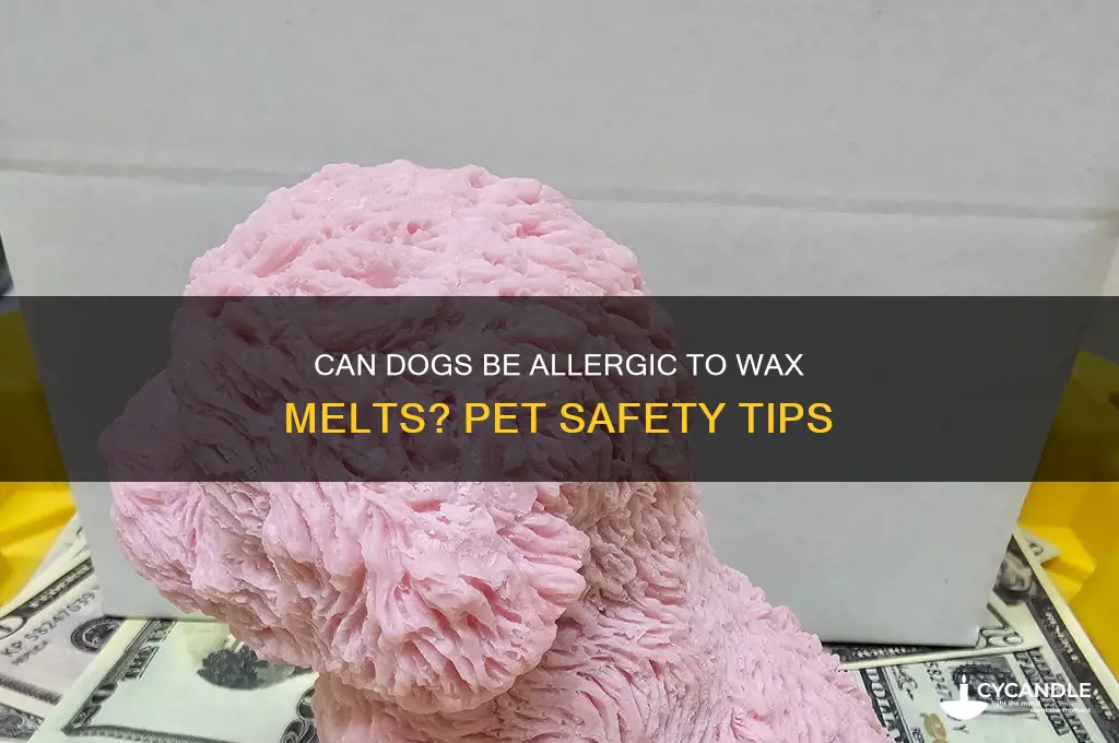 can dogs be allergic to wax melts