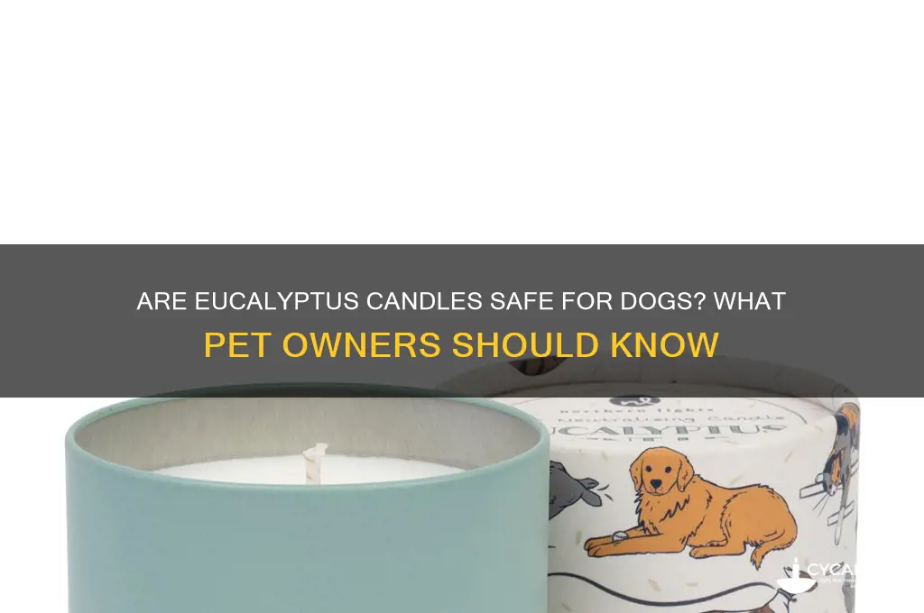 can dogs be around eucalyptus candles