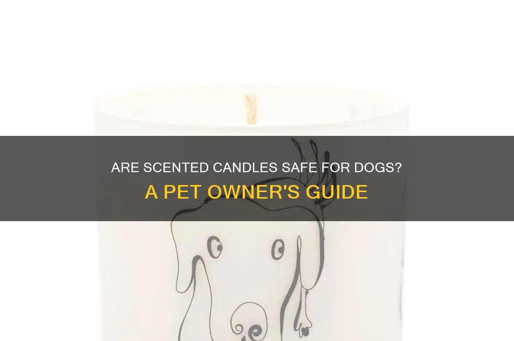 can dogs be around scented candles