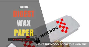 Can Dogs Digest Wax Paper? A Comprehensive Guide for Pet Owners