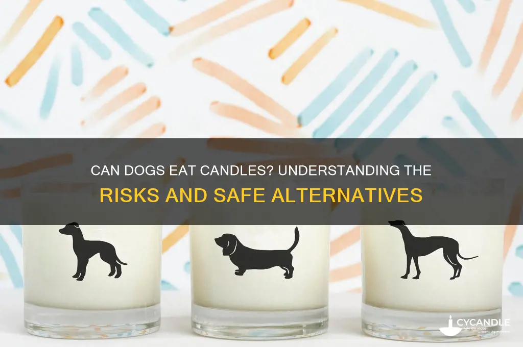 can dogs eat candles