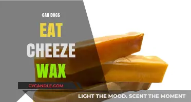 Can Dogs Eat Cheese Wax? A Comprehensive Guide for Pet Owners