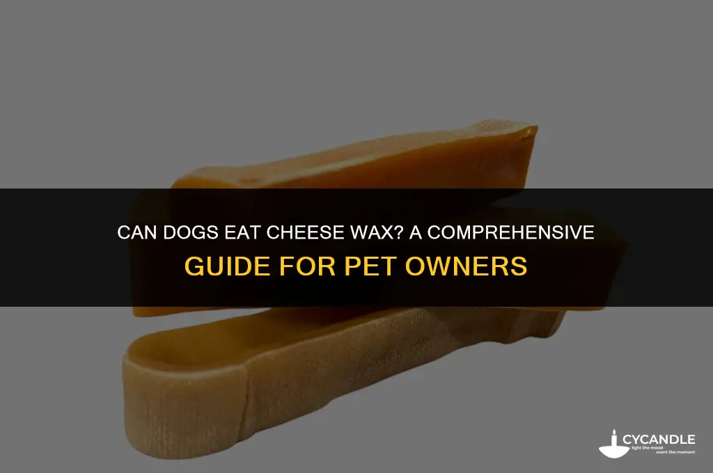 can dogs eat cheeze wax