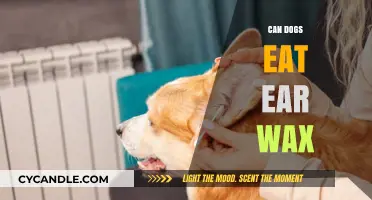 Can Dogs Eat Ear Wax? A Comprehensive Guide for Pet Owners