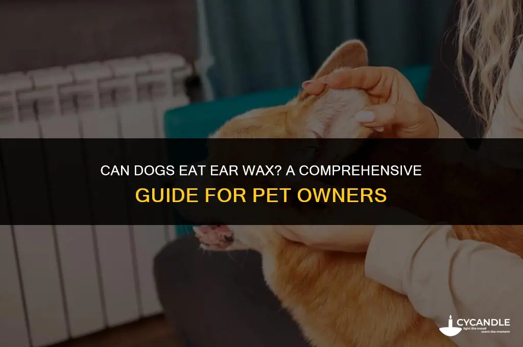 can dogs eat ear wax