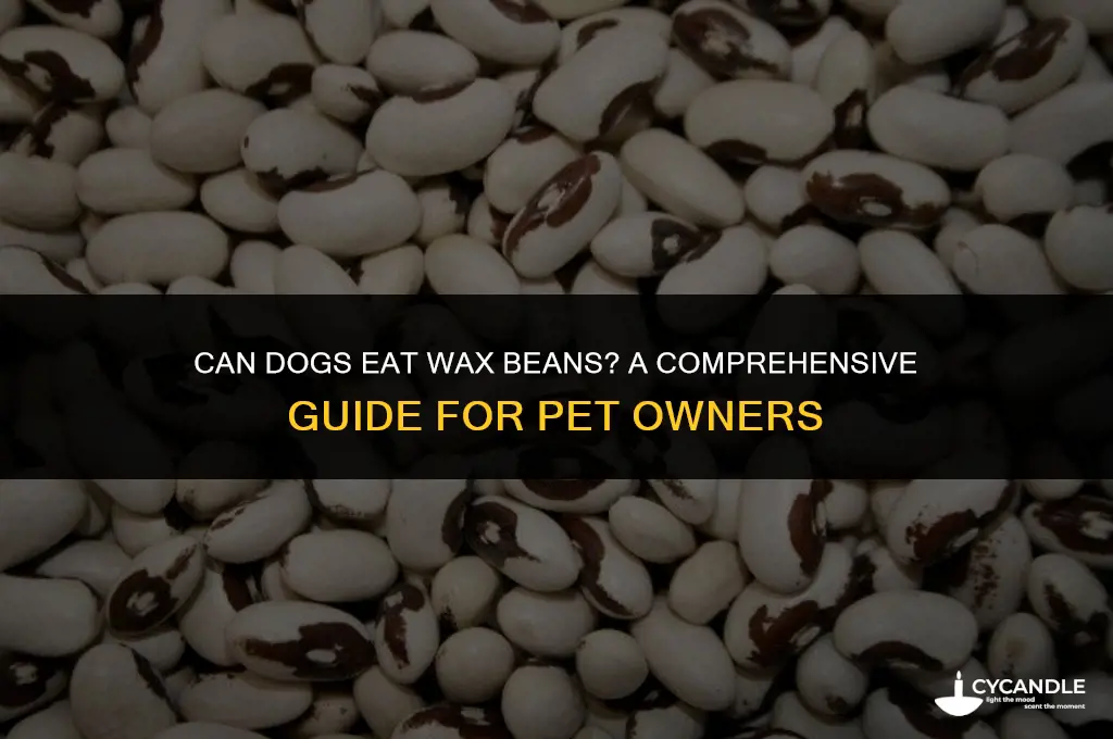 can dogs eat wax beans