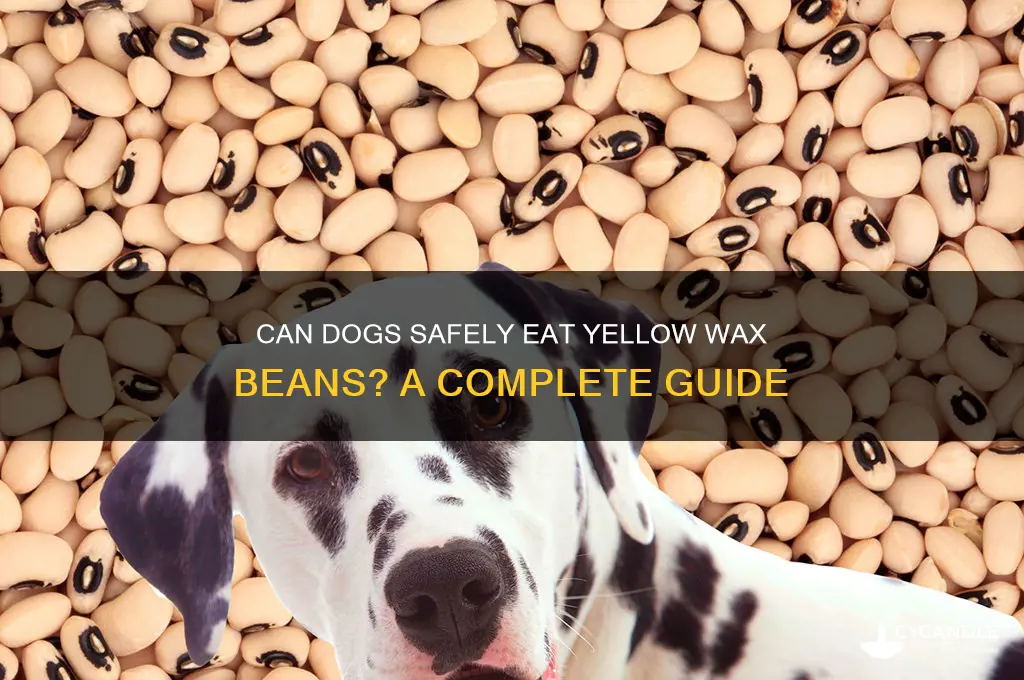 can dogs eat yellow wax beans