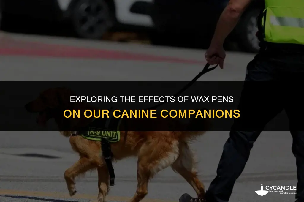 can dogs get high from wax pen