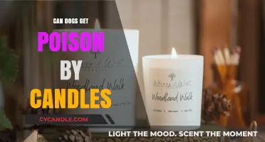 Are Candles Toxic to Dogs? Understanding the Risks and Safety Tips