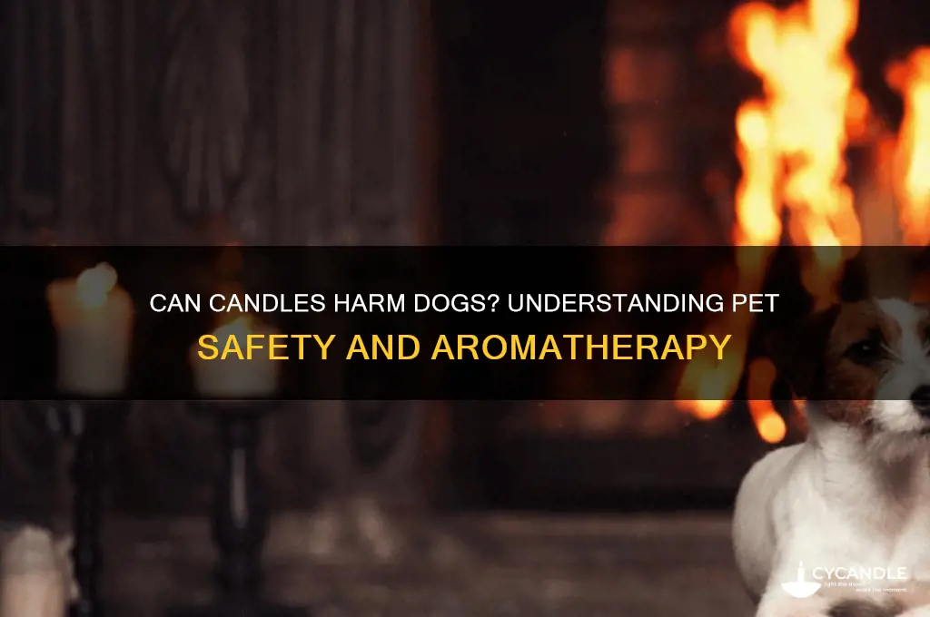 can dogs get sick from candles