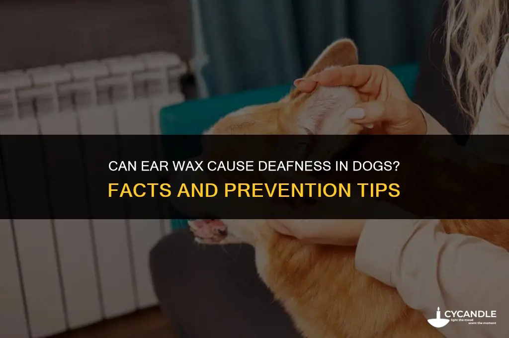 can dogs go deaf from ear wax
