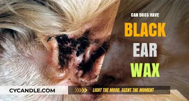 The Scoop on Canine Ear Wax: Is Black Normal?