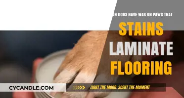 Can Dogs' Paw Wax Stain Laminate Floors? Expert Tips and Solutions