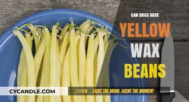 Can Dogs Enjoy Yellow Wax Beans? A Nutritional Guide for Pet Owners