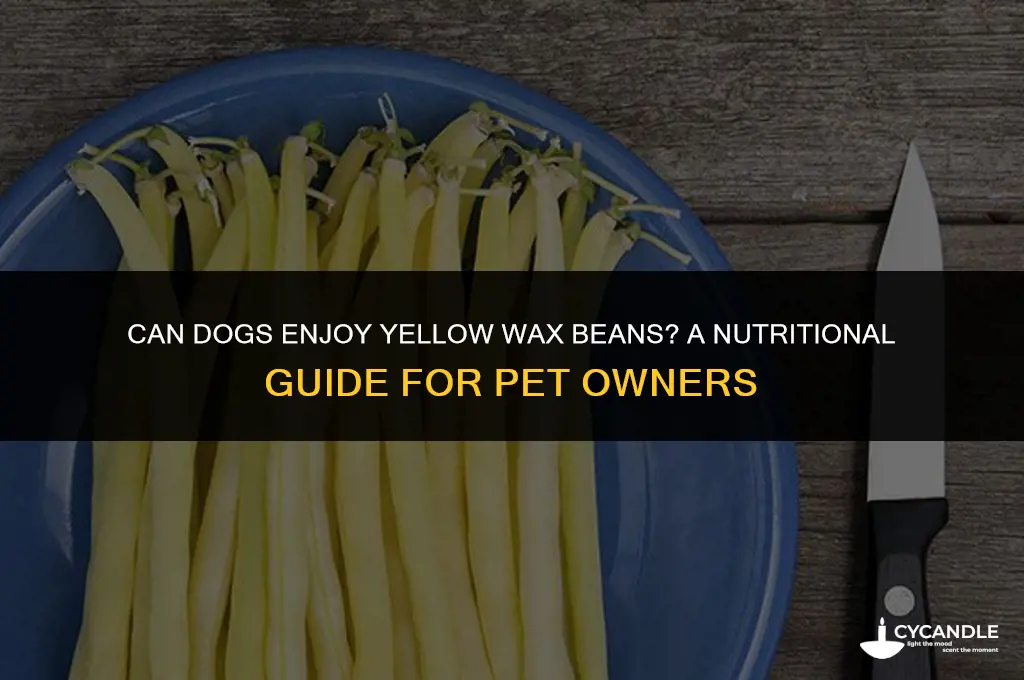 can dogs have yellow wax beans