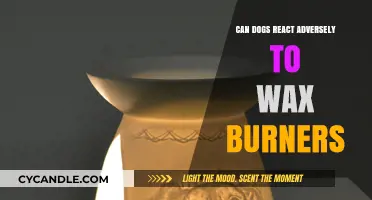 Can Dogs React Adversely to Wax Burners?