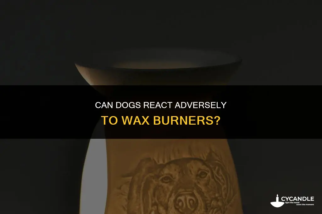 can dogs react adversely to wax burners