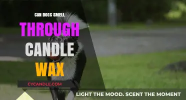 Can Dogs Detect Scents Through Candle Wax? Uncovering the Truth