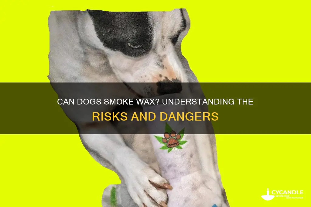 can dogs smoke waxs