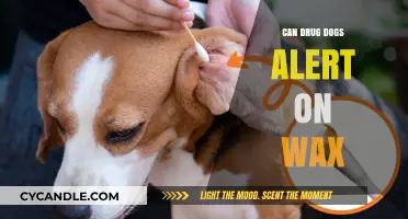 Sniffing Out the Truth: Can Drug Dogs Detect Wax?
