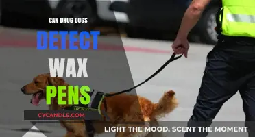 Sniffing Out Vape Pens: Can Drug Dogs Detect Wax Pens?