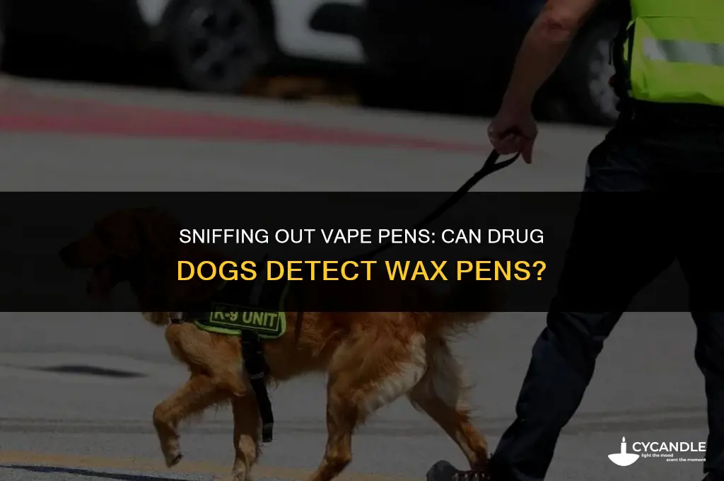 can drug dogs detect wax pens