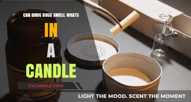 Can Drug Dogs Detect Substances Hidden Inside Candles?