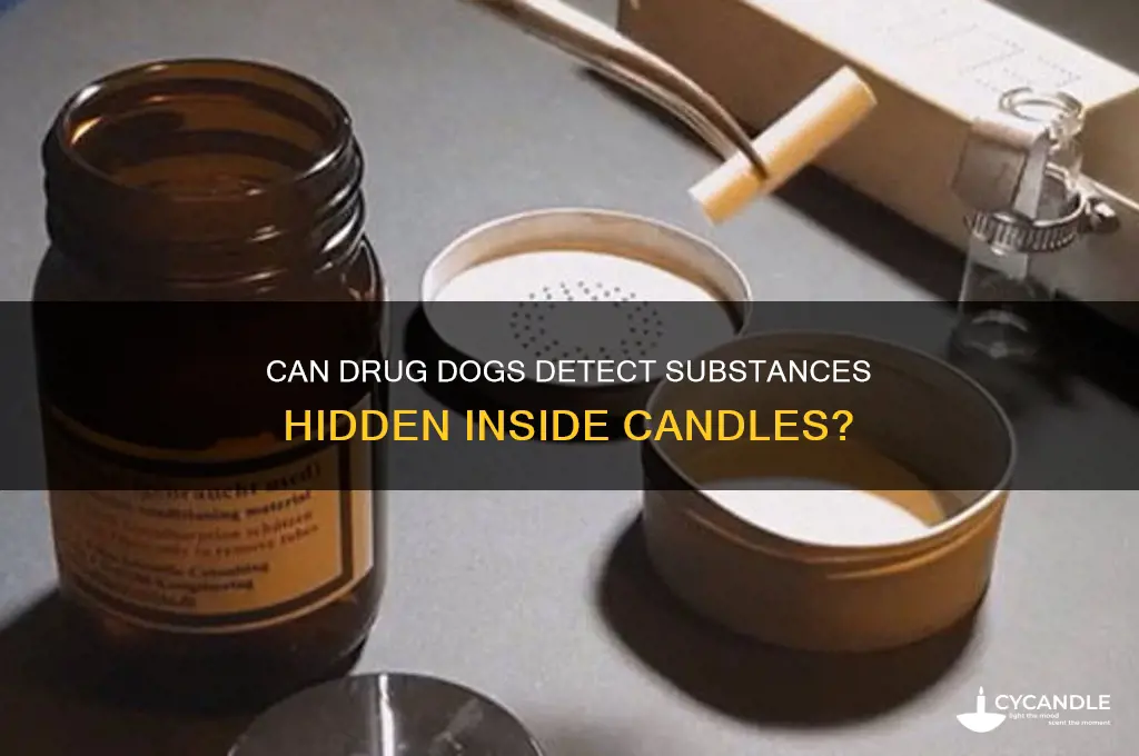 can drug dogs smell whats in a candle