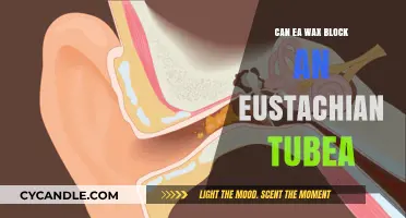 Can Ear Wax Cause Eustachian Tube Blockage? Facts and Prevention Tips