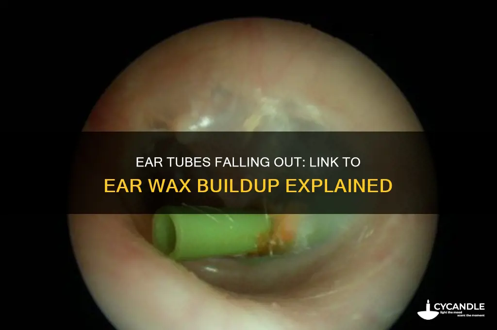 can ear tubes falling out cause ear wax build up