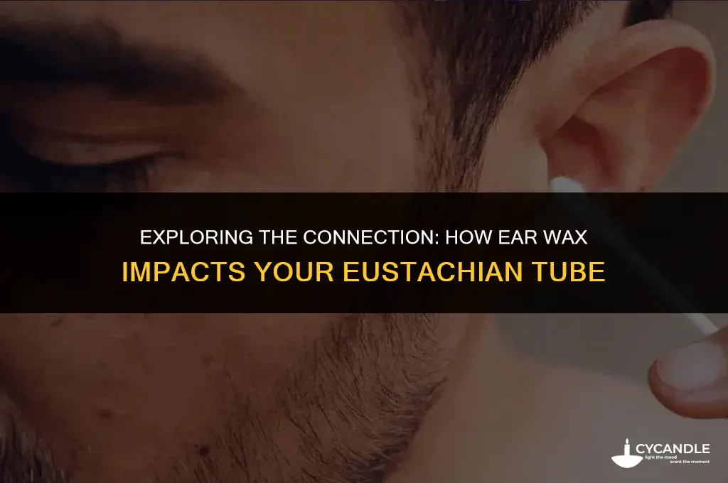 can ear wax affect eustachian tube