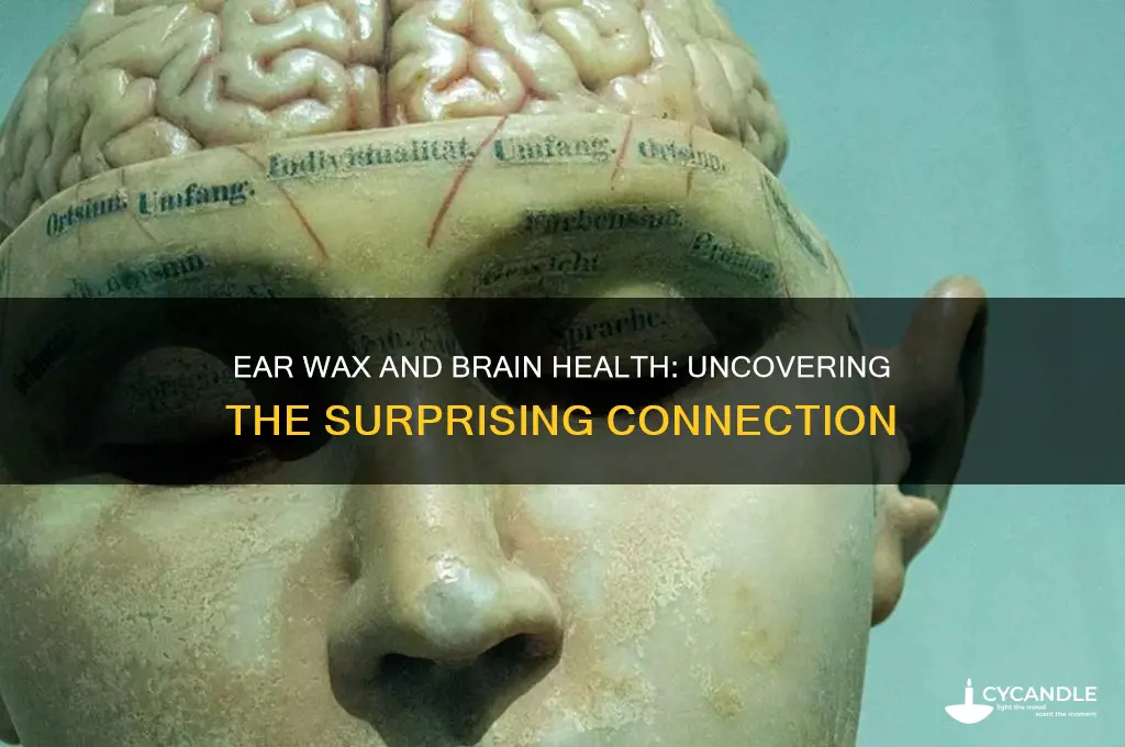 can ear wax affect your brain