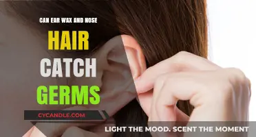 Ear Wax and Nose Hair: Unlikely Germ Catchers or Health Hazards?