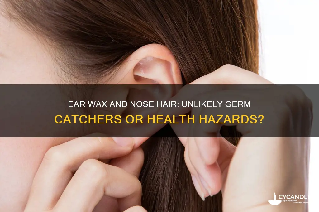 can ear wax and nose hair catch germs