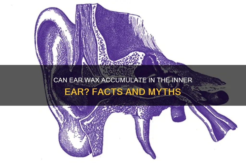 can ear wax be in inner ear
