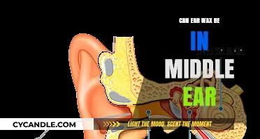 Exploring the Link: Can Ear Wax Accumulate in the Middle Ear?