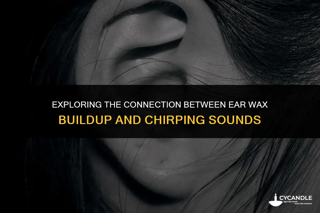 can ear wax buildup make a chirping sound in ear