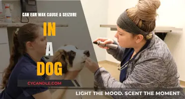 Ear Wax and Seizures in Dogs: Uncovering the Surprising Connection