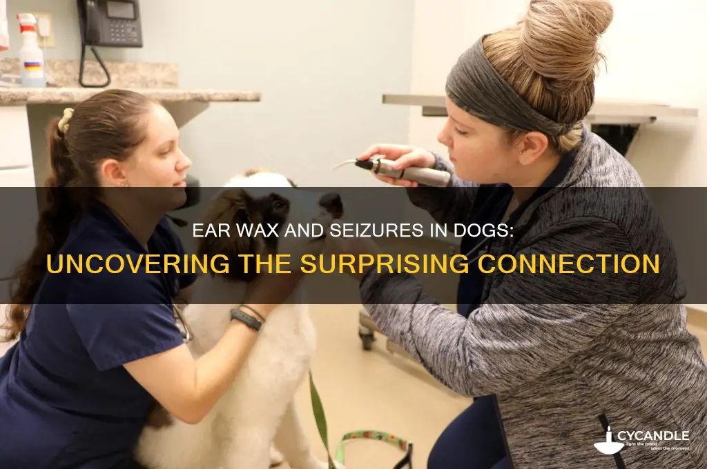 can ear wax cause a seizure in a dog