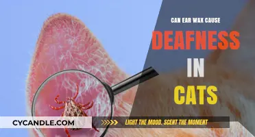 Feline Hearing Health: The Impact of Ear Wax Buildup on Deafness