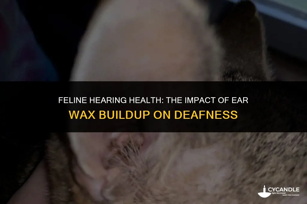 can ear wax cause deafness in cats