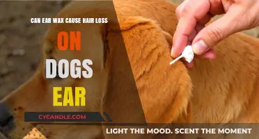 Ear Wax and Dog Ear Hair Loss: Uncovering the Surprising Connection